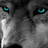 iago_wolf