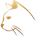 lightlex