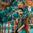bipin17