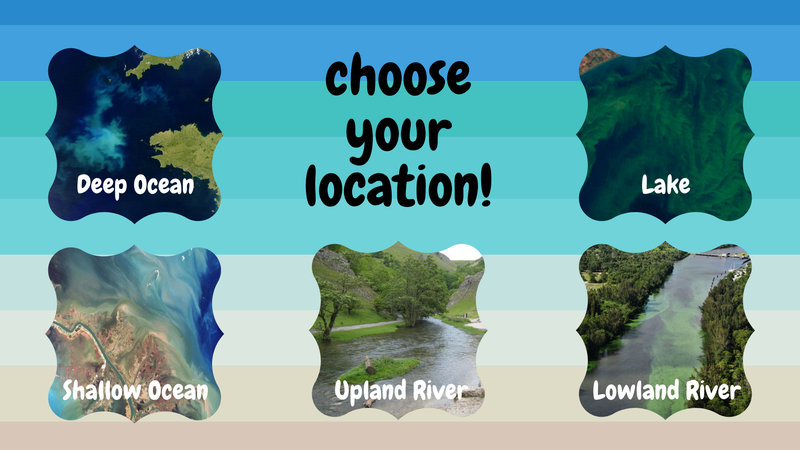 Your first hard decision as a prospective algal bloom - where will you live?