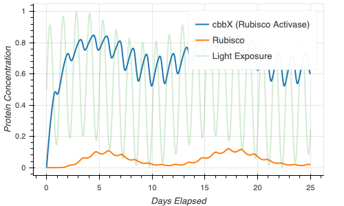 This is the graph/plot that we used to show the concentrations of Rubisco and its necessary reagents as a function of time in days.