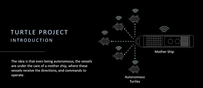 Schema network the turtle