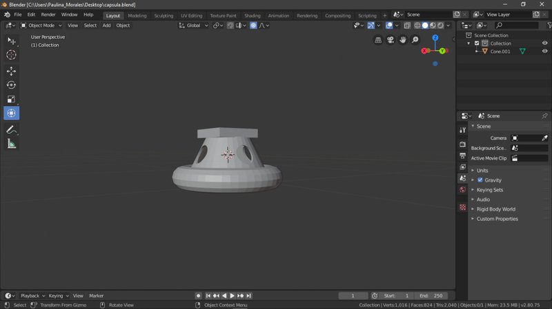 Capsule
