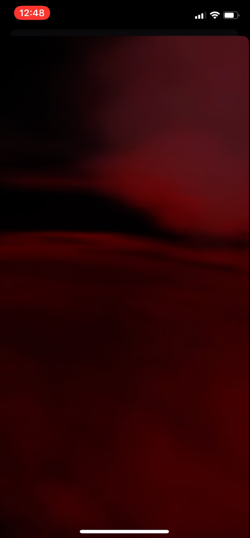 The Venus from inside