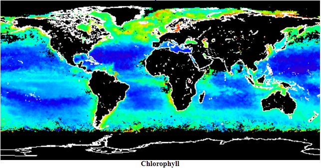 Extreme sides where concentration is balanced has more presence of algae, because water is static and gradient areas where water is moving to high concentration seems to be unaffected by of algae