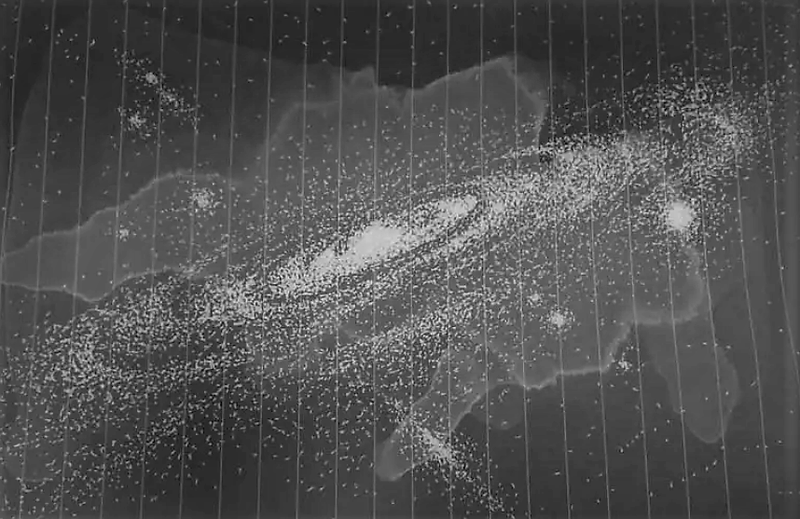 Project profile picture - illustrated by Wenjing Liu