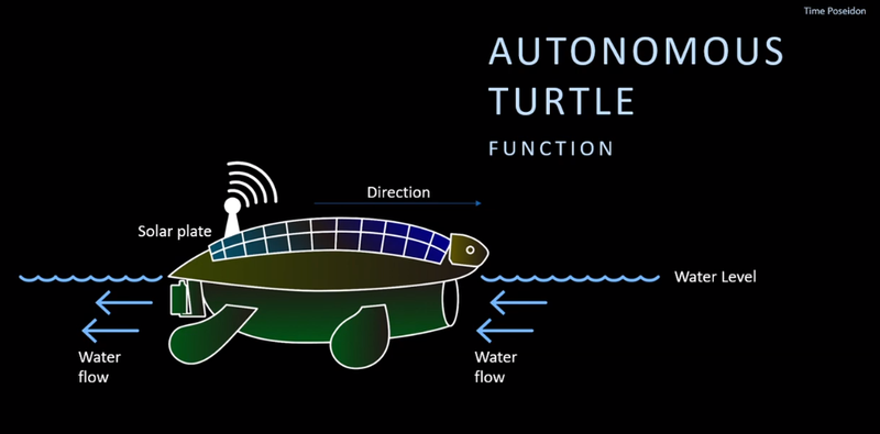 Details Turtle