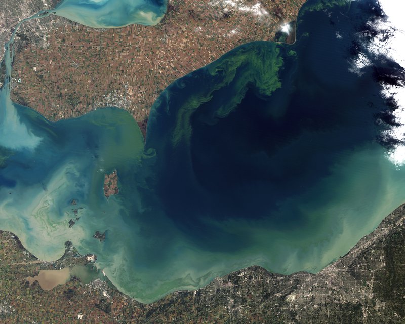 Looking at examples of algae blooming - Lake Erie