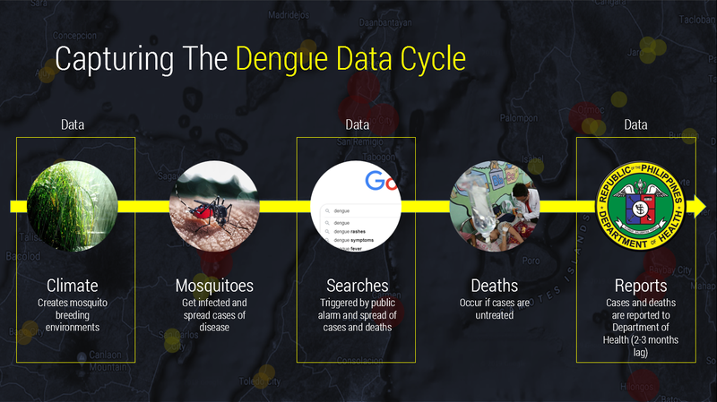 This is the dengue data cycle. 