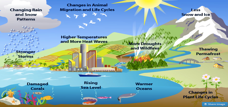 As research students, we have observed such impacts of global warming all over the World and can concluded that its the time to take some essential steps to overcome this huge issue.