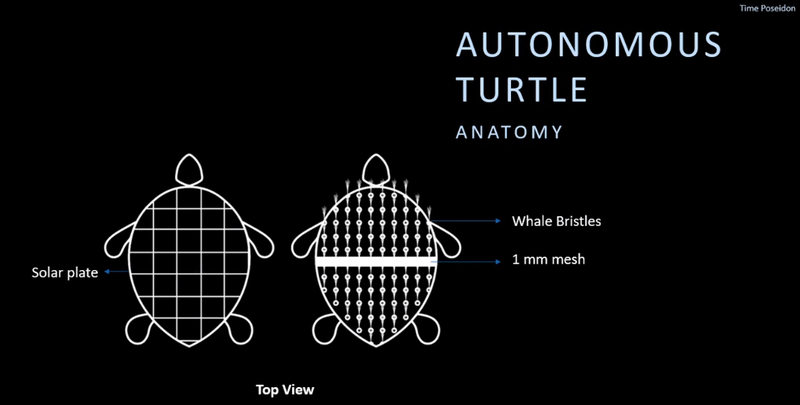 Details Turtle - filtre