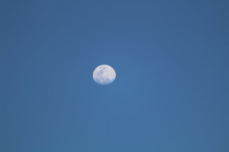 The Moon in Leon 