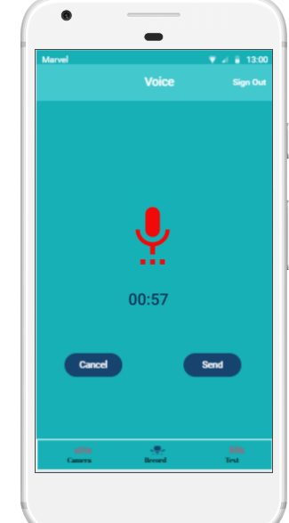 Reporting fire through voice record