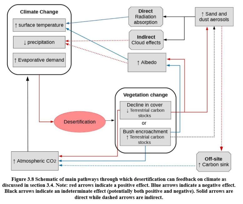 Esquema das principais vias pelas quais a desertificação pode dar retorno sobre o clima como. Nota: as setas vermelhas indicam um efeito positivo. Setas azuis indicam um efeito negativo. As setas pretas indicam um efeito indeterminado (potencialmente positivo e negativo). Fonte: Relatorio IPCC de 2019