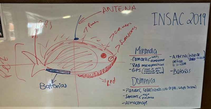 Working on new ideas and perfecting them!