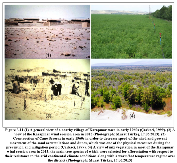 Processo de reflorestamento de uma região arida. (Foto: Murat Türkeş, 17.06.2013)
