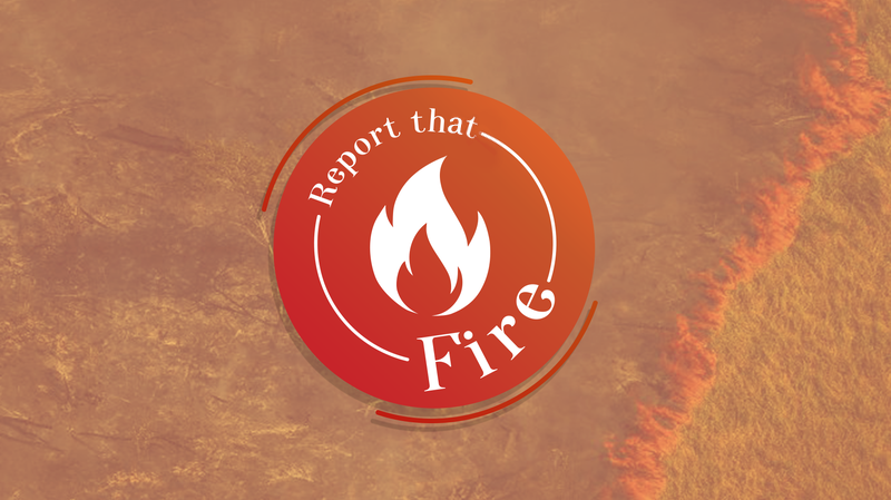 Tá pegando fogo, bixo!