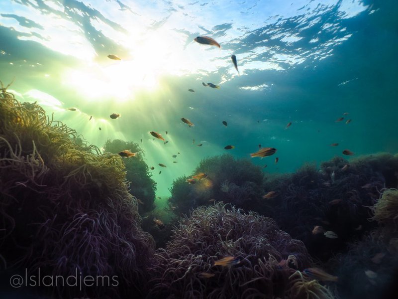 PRAHARI....A NEW SOLUTION TO SOLVE MARIN