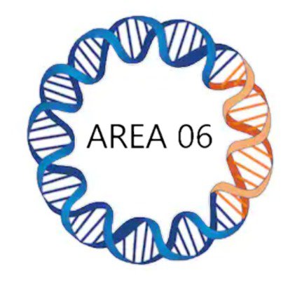 Area 06