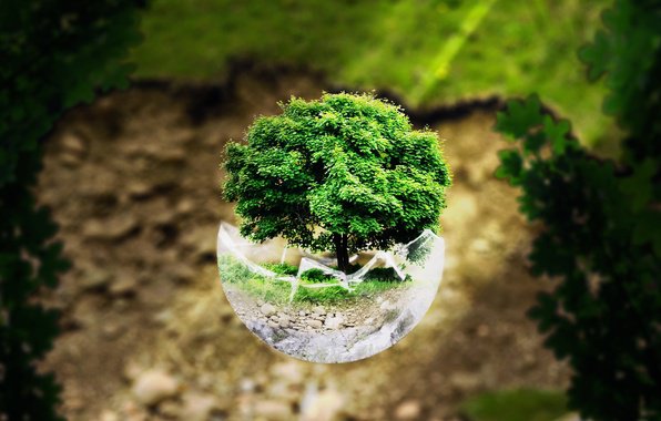 Earth innovators (Rise to resilience)