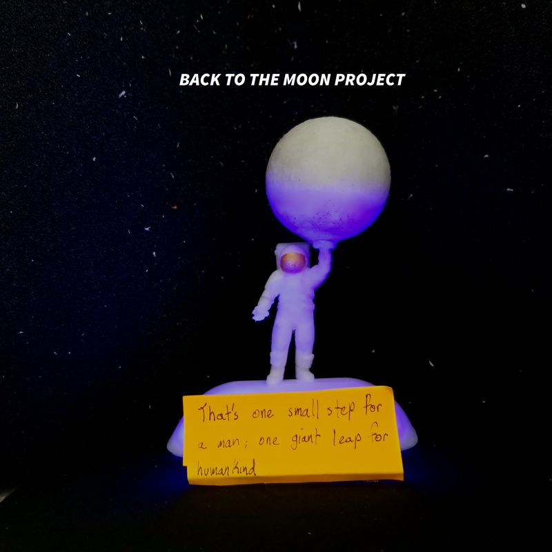 Back to the moon